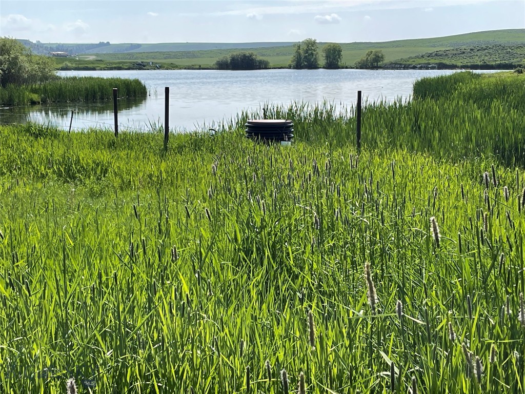 Neighboring reservoir with waterfowl and wildlife