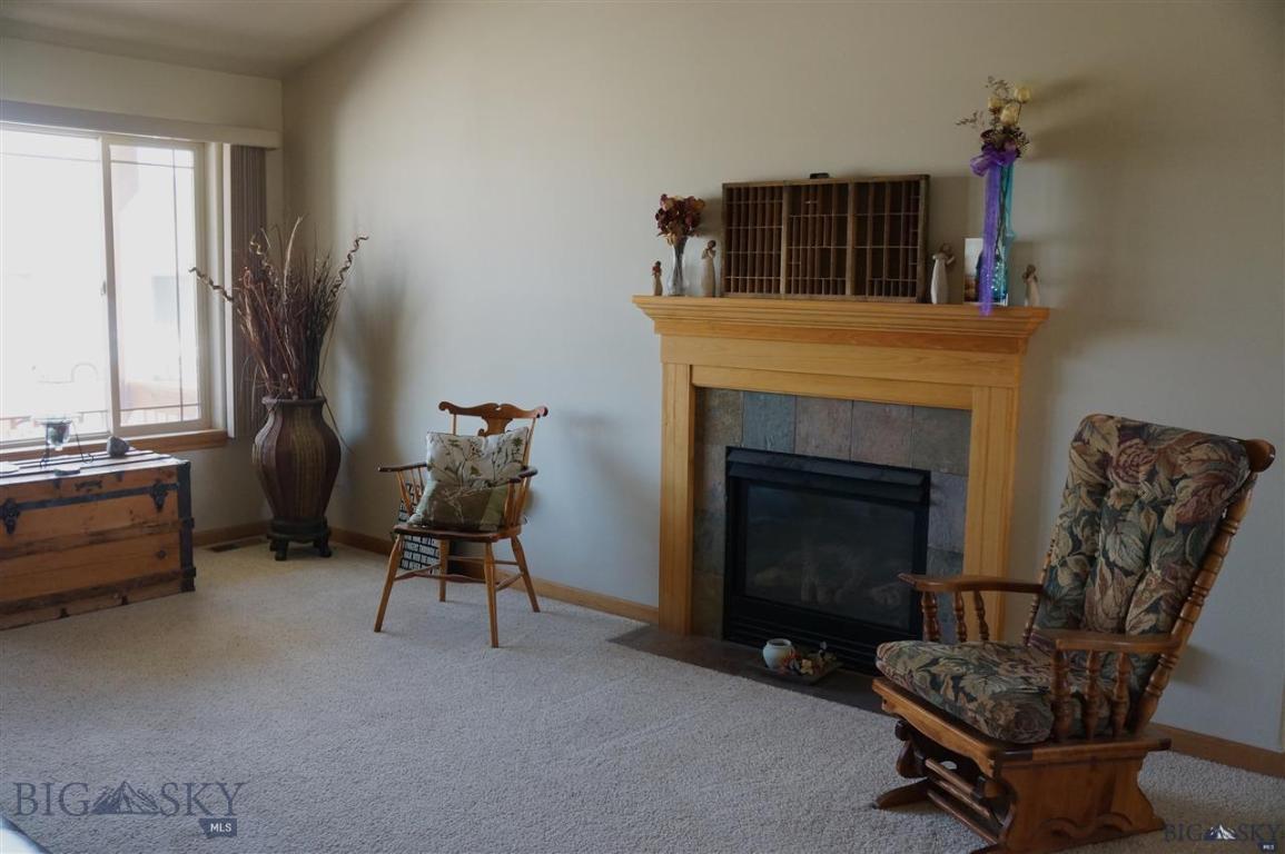 Gas Fireplace in Living Room
