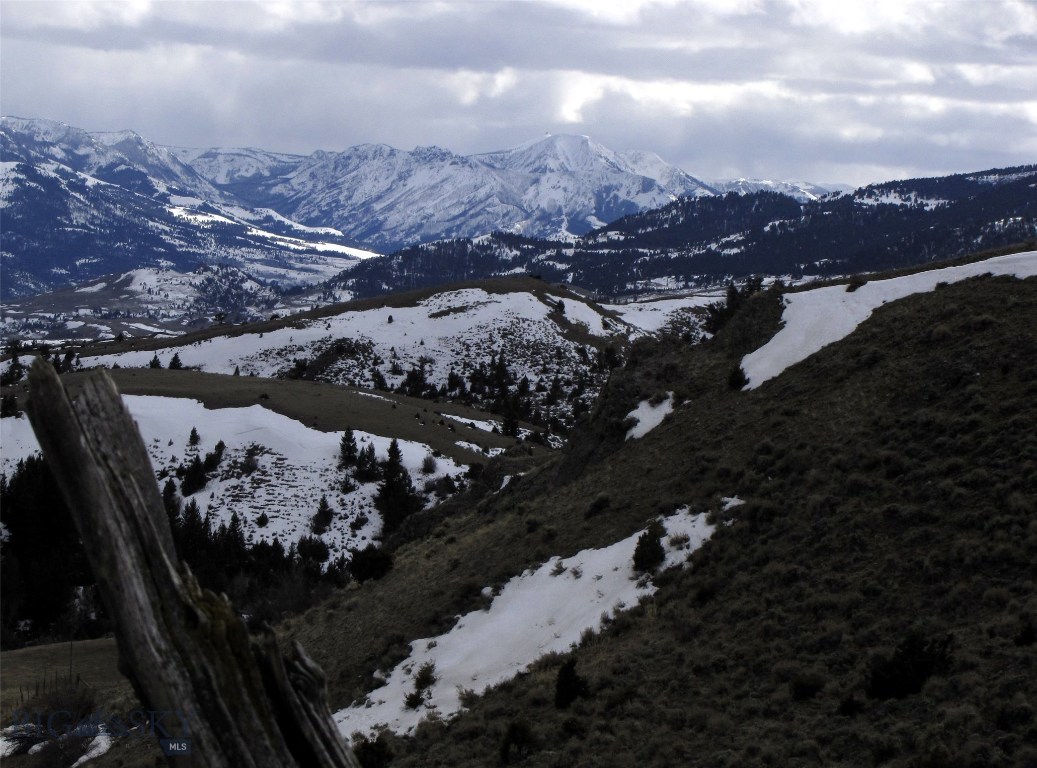 Looking southwest towards Tom Miner Basin and Shee