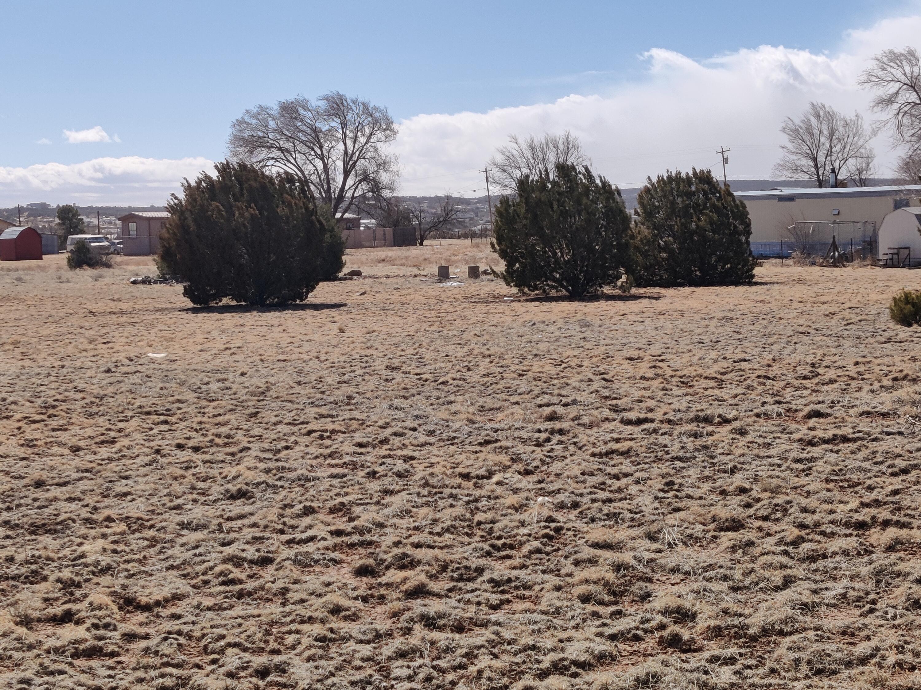 8 BIRCH Road Sold Property
