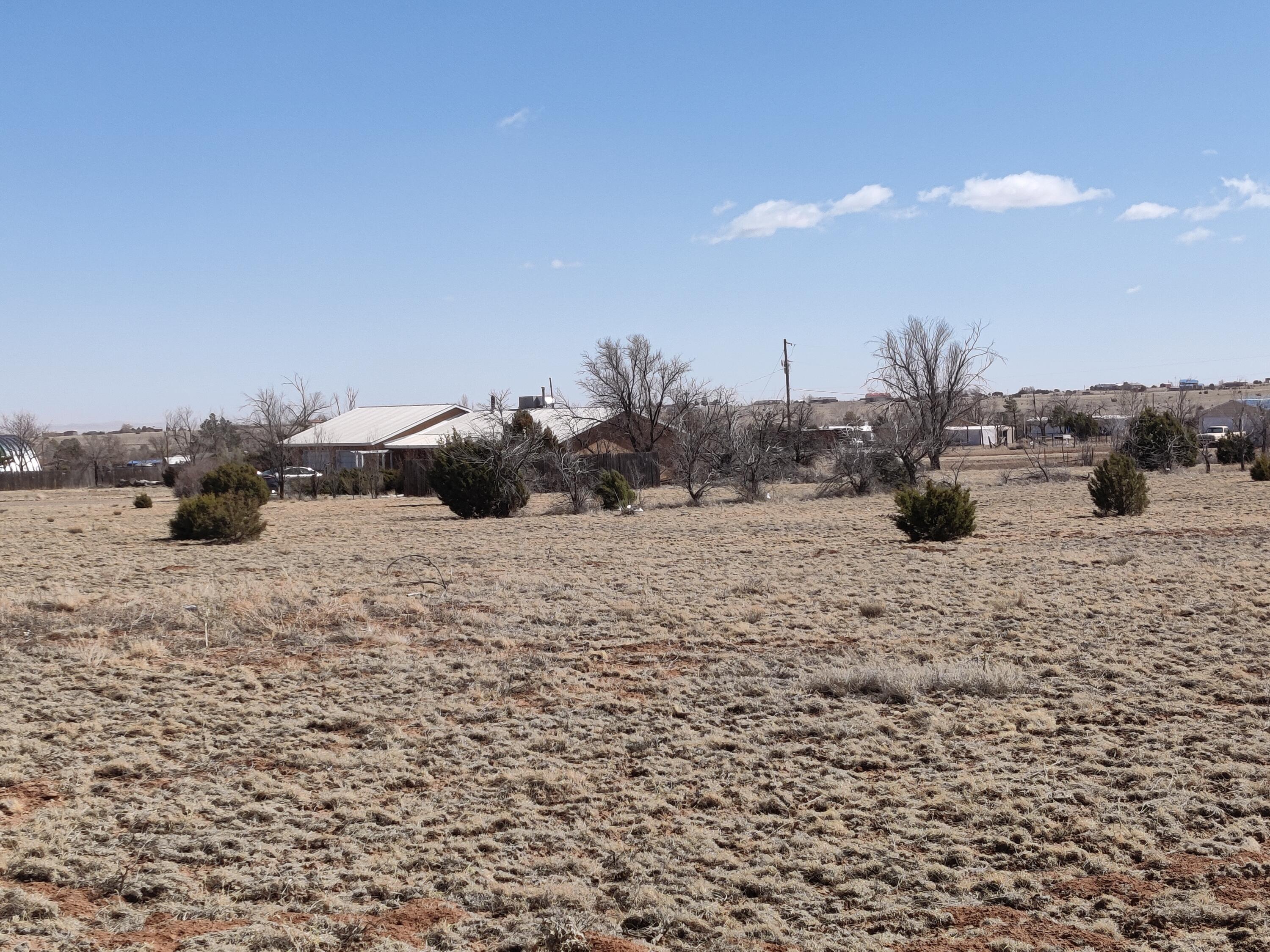 8 BIRCH Road Sold Property