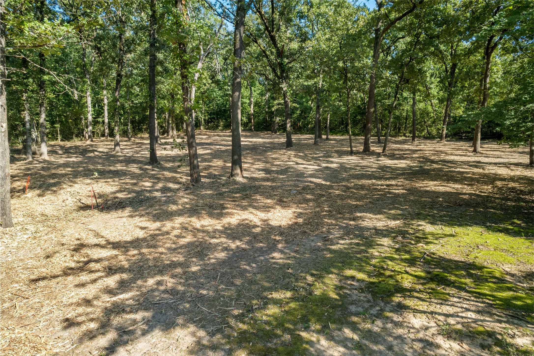 250 Parc Quest Drive Sold Property