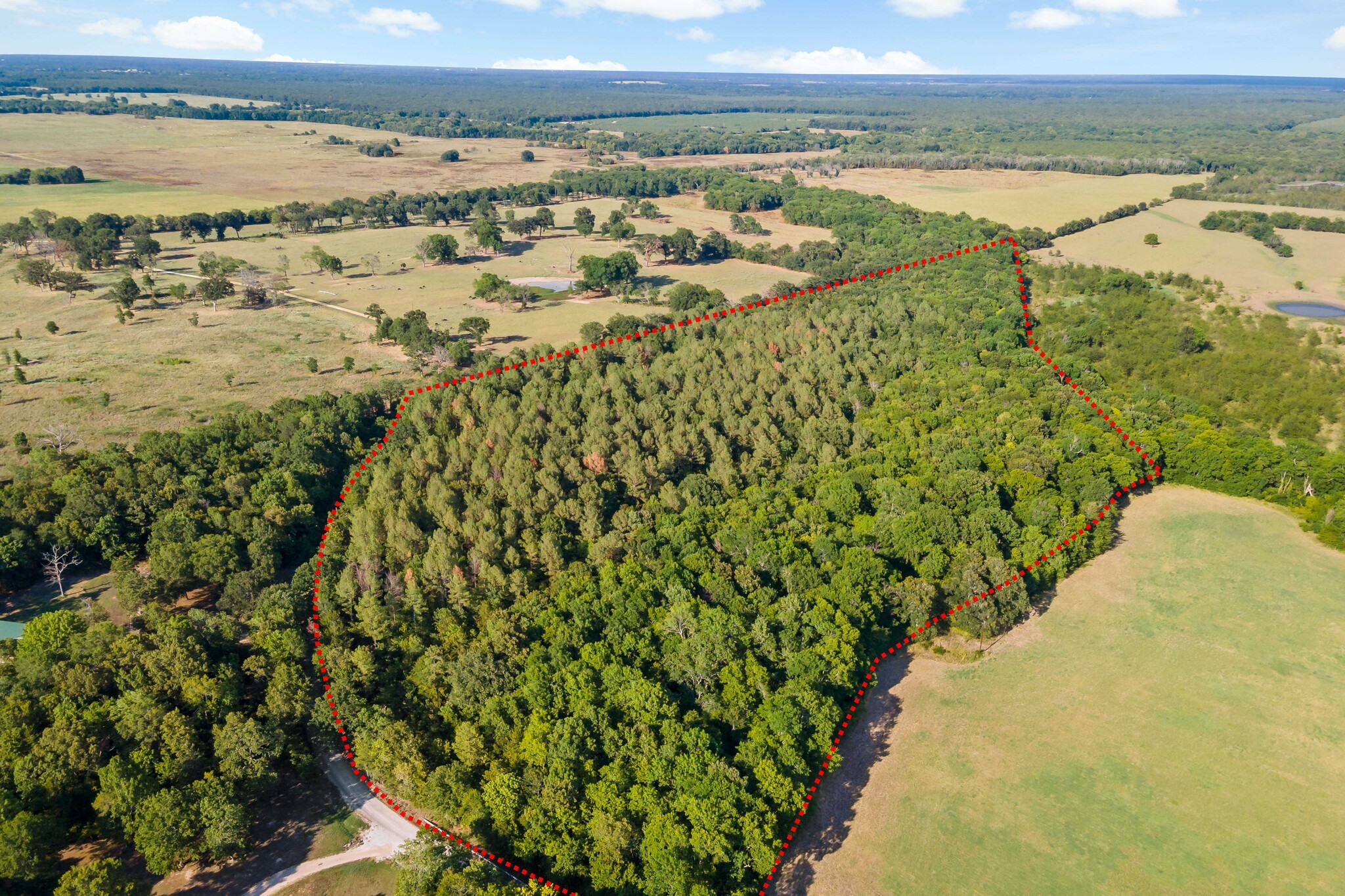 TBD County Road 1305 Sold Property