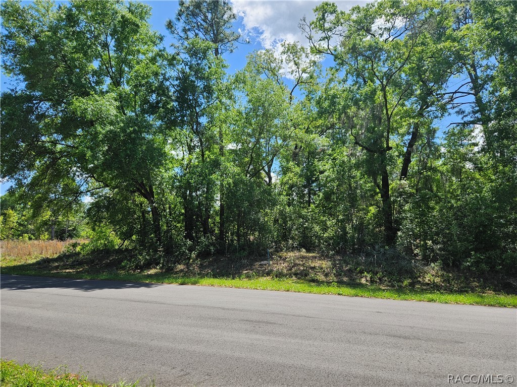 11200 N Terra Cotta Drive Sold Property
