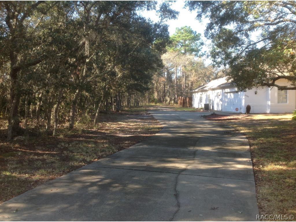 Tree Canopied Drive With Room