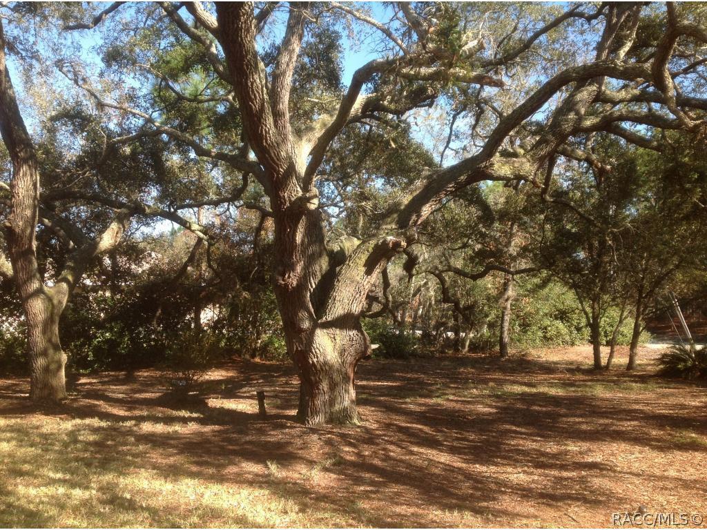 Property has Mature Landscape