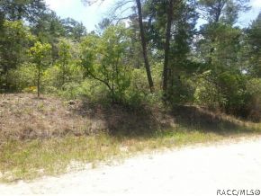 Wooded Corner Property